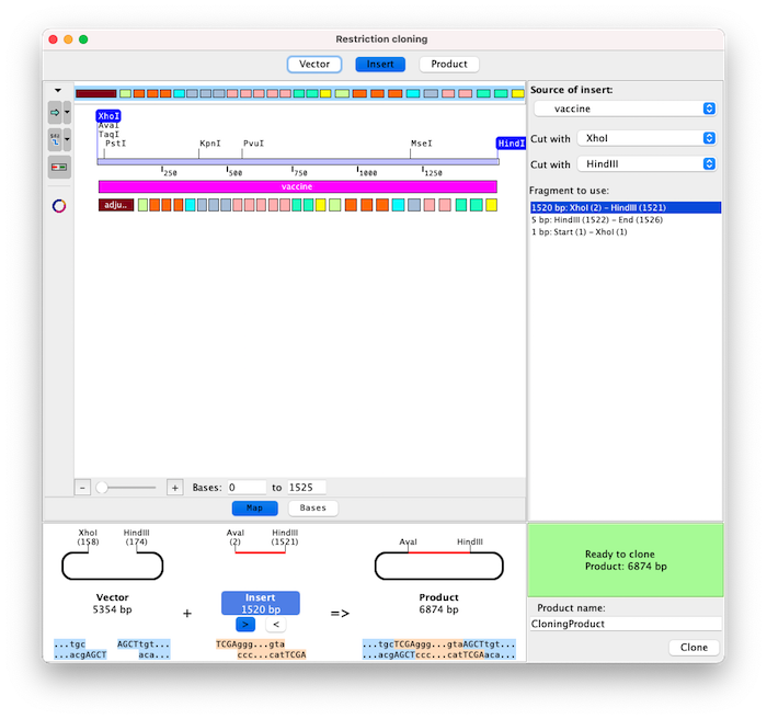 Restriction Cloning Insert