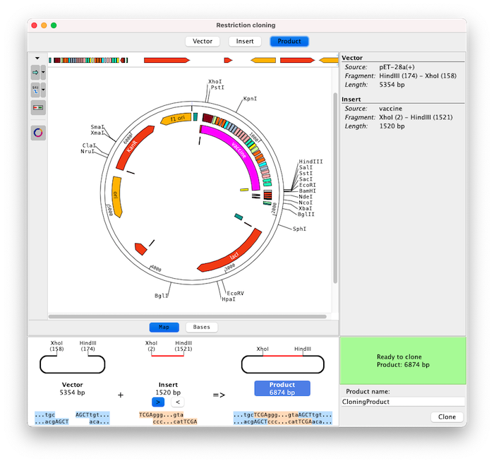 Restriction Cloning Product