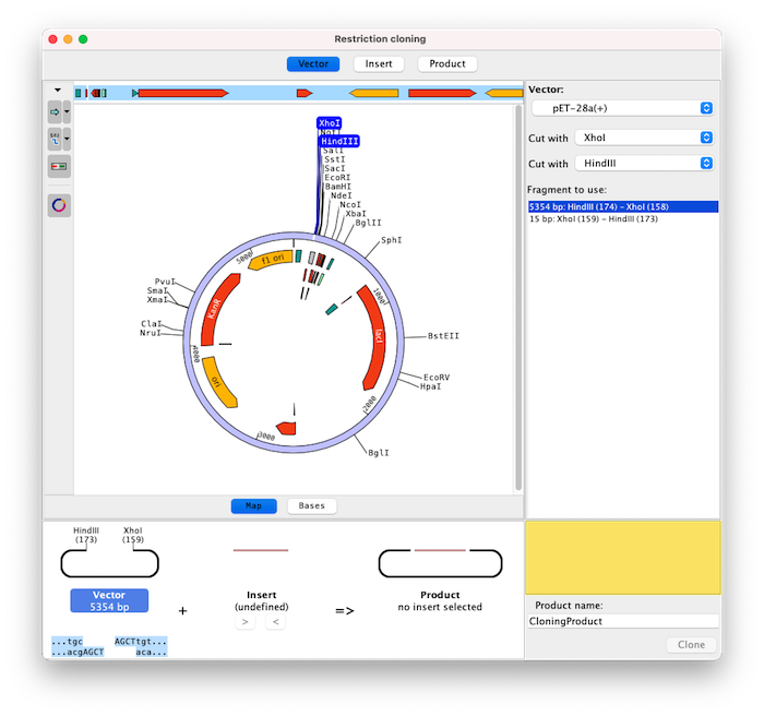 Restriction Cloning Vector