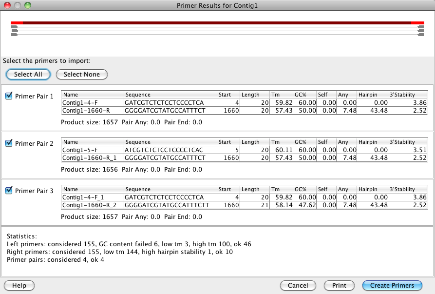 PCR primers