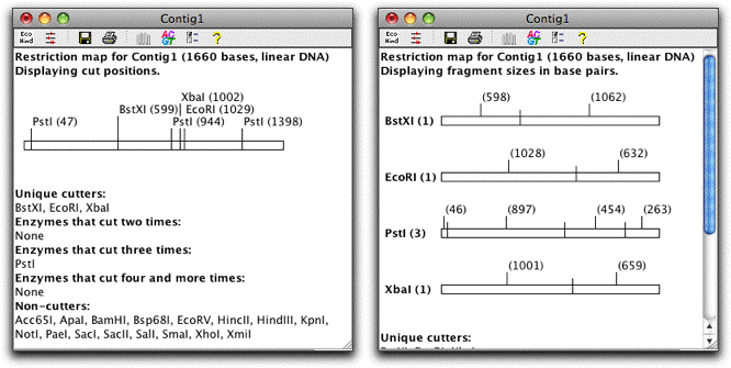 restriction maps with one and multiple lines