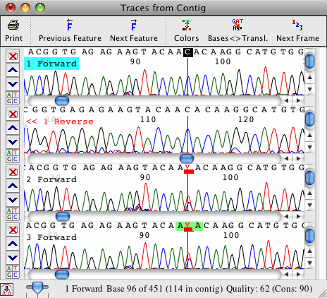 Trace view in CodonCode Aligner showing ambiguities after calling the secondary peaks